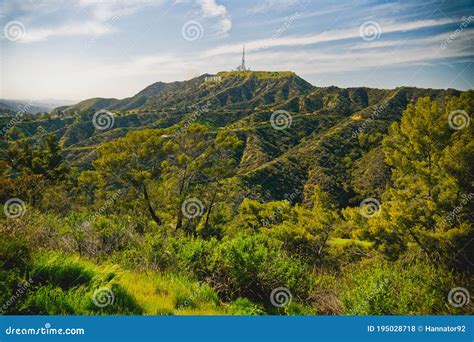 Hollywood Hills Los Angeles Griffith Park Hiking Trail Editorial