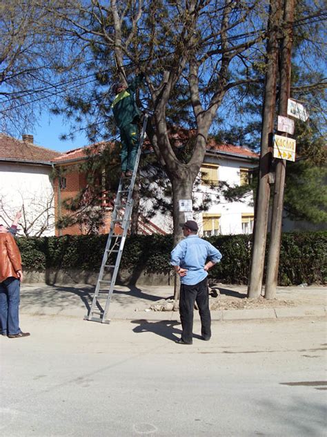 Инел | Почетна