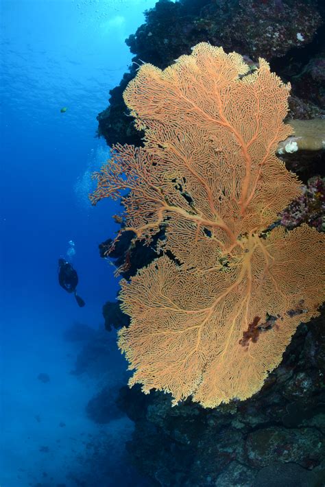 Cairns Gateway to The Great Barrier Reef Part 1