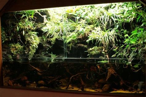 Палюдариум