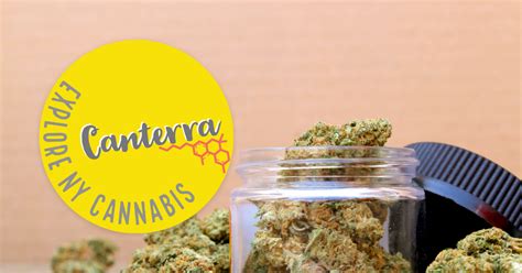 Order Ayrloom Ayrloom Alaskan Thunder Fuck Aio G In Ny Canterra Dispensary Delivery