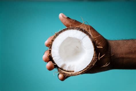 le coco fosa trading import export