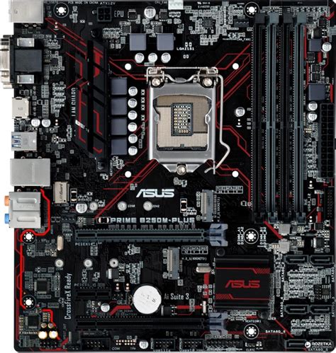 Материнская плата Asus Prime B250M-Plus (s1151, Intel B250, PCI-Ex16 ...