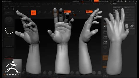 Speed Sculpt Hand In Zbrush Time Lapse Mano YouTube