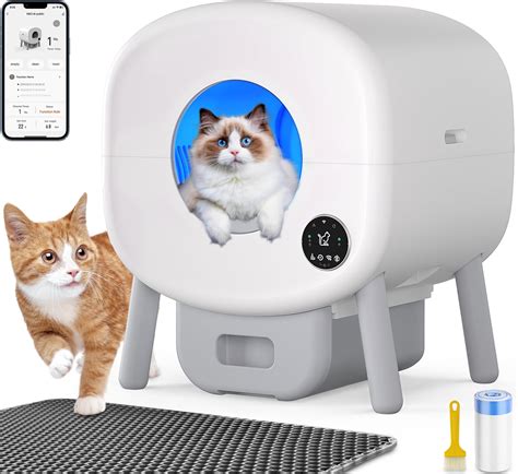 Understanding What The Litter Robot 3 Blinking Blue Light Means For Your Automatic Self Cleaning Cycle Today 17