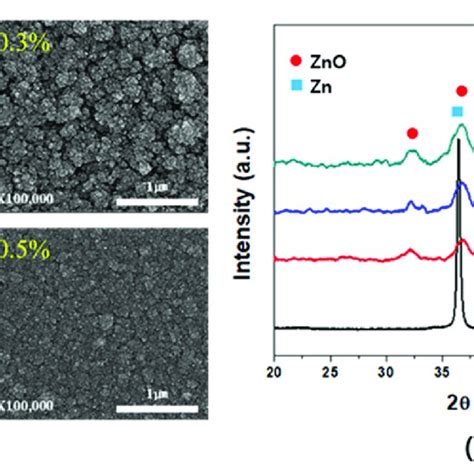 A Surface Sem Images And B Xrd Patterns Of The Formed Zn And Zno