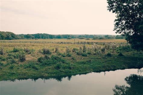 nature reserve natural land state images    freepik