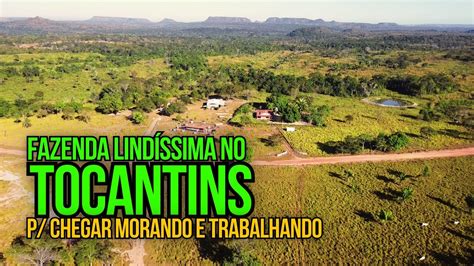 Fazenda Para Morar E Trabalhar - FAZENDA DE DUPLA APTIDÃO À VENDA NO TOCANTINS BOA PARA MORAR E ...