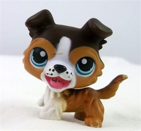 Картинки лпс колли - Фотоподборки 1