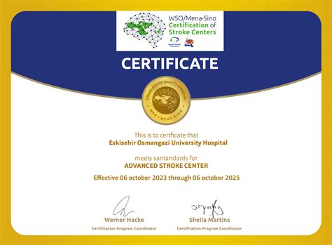 Certified Stroke Centers – MENA-SINO