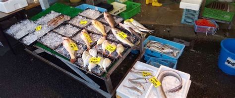 アクセス – 田尻漁港 日曜朝市