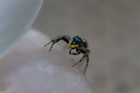 All the small things on Behance