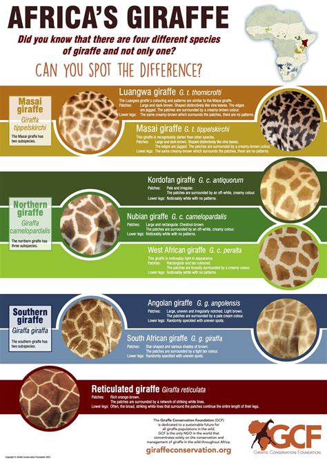 Educational Materials - Giraffe Conservation Foundation