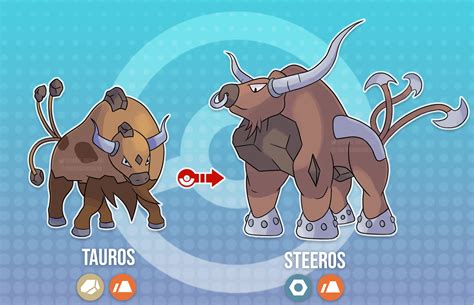 Tauros Pokemon Evolution