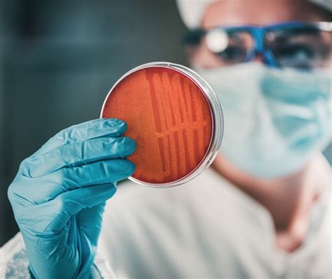 Approvato Il Piano Nazionale Aifa Di Contrasto Allantibiotico