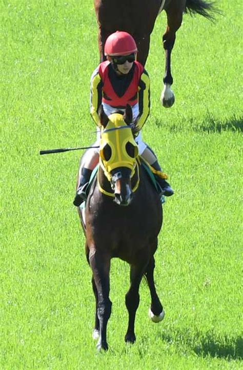 【3歳以上次走報】鳴尾記念2着フェーングロッテンは七夕賞へ サンスポzbat