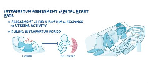 What Is The Meaning Of Fhr In Ultrasound At Troy Kean Blog