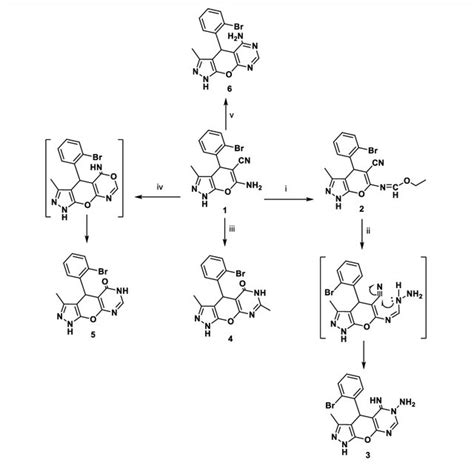 SCHEME 1 Synthetic Pathways For Compounds 1 6 Reagents And