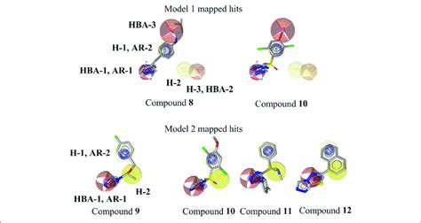 | Mapping of novel CYP11B1 and CYP11B2 inhibitors to pharmacophore ...