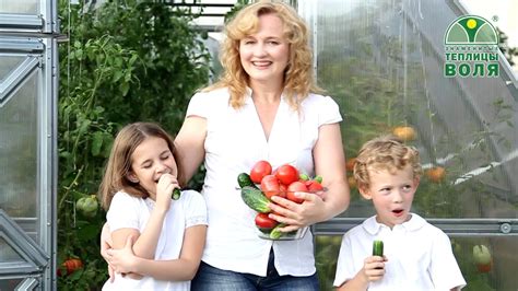 О компании "Воля" производителе теплиц - YouTube
