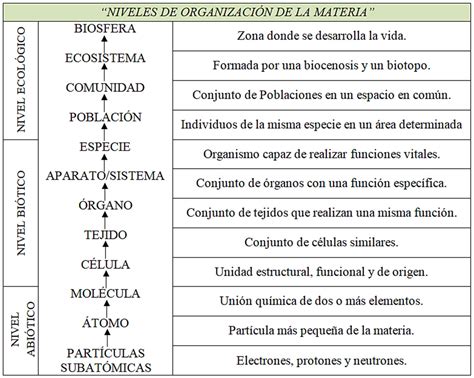 Biología Ciencia De La Vida NIVELES DE ORGANIZACIÓN BIOLÓGICA