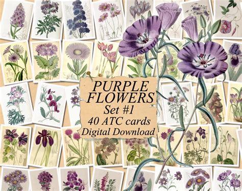 PURPLE FLOWERS Set 1 Digital Collage Sheet 40 ATC Cards Etsy Purple