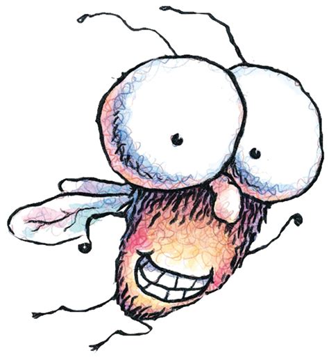 fly guy  stories mclean va patch