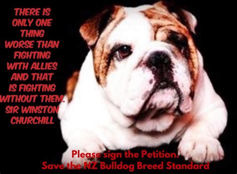 zealand bulldog club combined taskforce