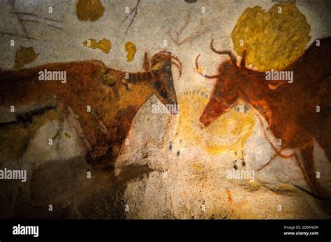 prehistoric caves  lascaux  france  res stock photography
