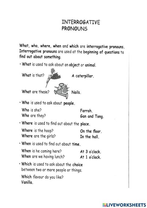 Interrogative Pronouns Worksheet For Grade 2 And 3 Live Worksheets