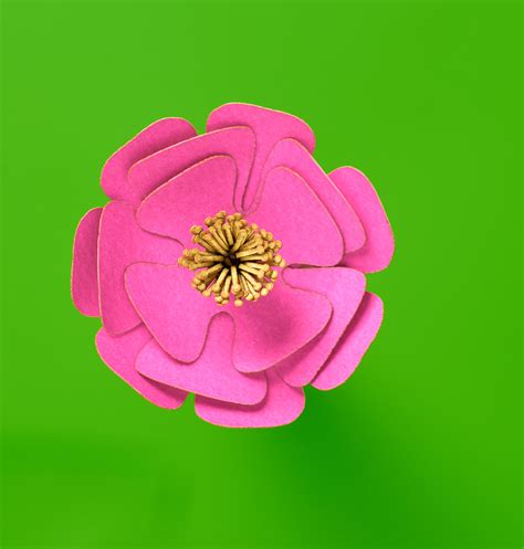 Content Creation Fabuloso Behance