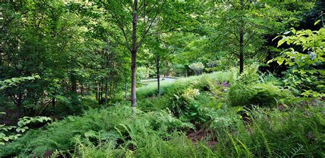 2014 Asla Residential Design Excellence Award Woodland Rainwater