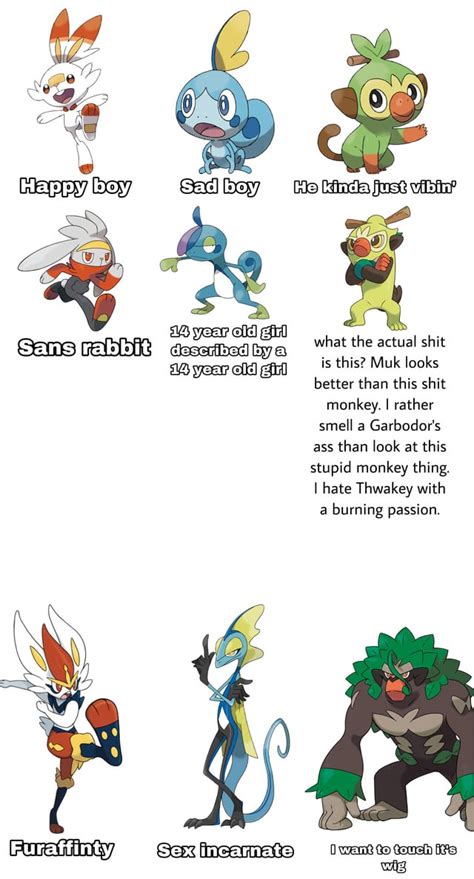Ah Yes Gen 8 Starters And Their Evos Rpokemon