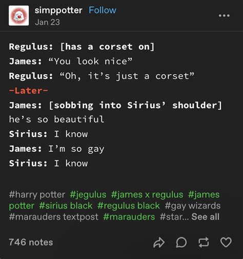 Pin By Kessa Russell On HP Starchaser Harry Potter Headcannons Gay Harry Potter Harry Potter