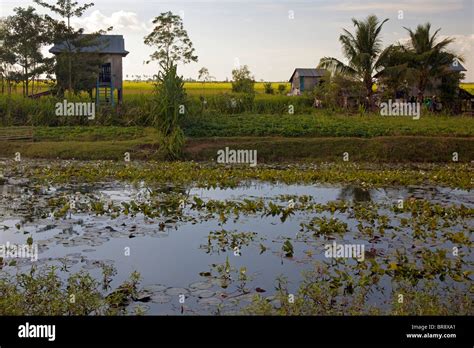 Village House Near Phnom Penh Cambodia Stock Photo Alamy
