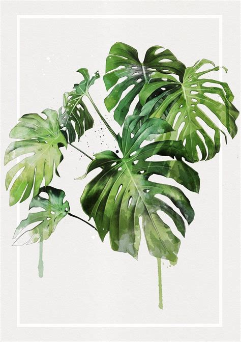 Monstera Cluster Plant Painting Plant Art Botanical Wall Art