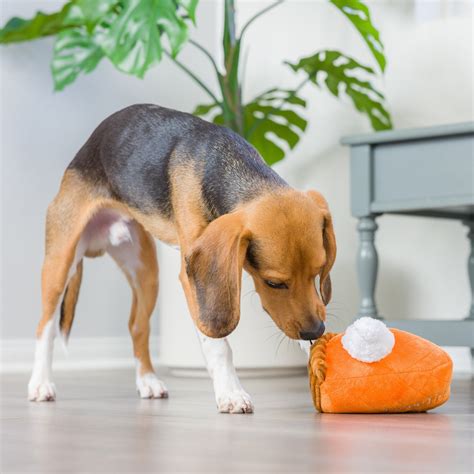 Punkin Pie - Dog Toy - Huxley & Kent