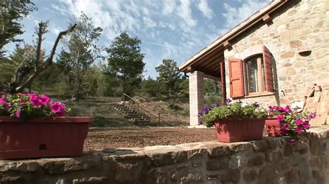 Renata Black Porn Videos Porn Star Sex Scenes XHamster