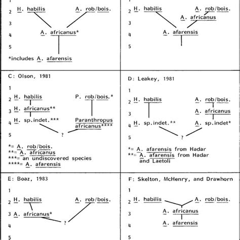 Phylogeny for the four early hominid species that preserves the... | Download Scientific Diagram