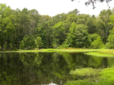 Lake Bob Sandlin State Park Parks Guidance