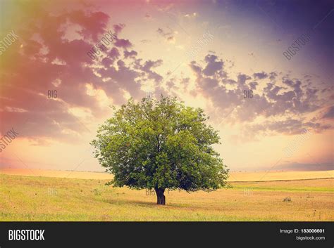 Imagen Y Foto Photo Beautiful Prueba Gratis Bigstock