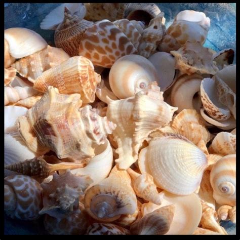 Swim Swimsuit Swimwear Bikini Set Poshmark