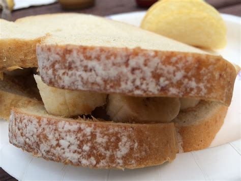 On The Road Again Peanut Butter And Banana Sandwiches