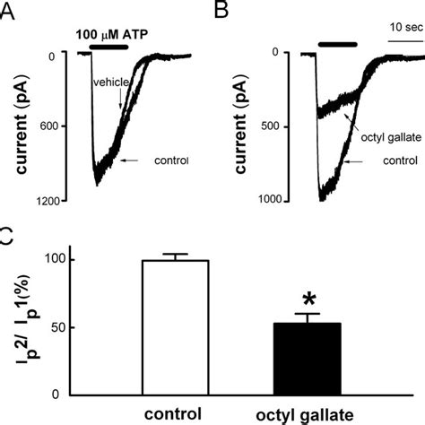 Inhibitory Effects Of Octyl Gallate On Atp Induced Inward Currents In