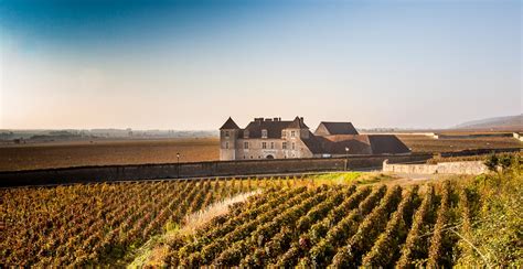 Guided tour of Côte de Nuits vineyards