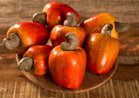 Qual Estado Representa A Estrela De Cima Da Bandeira