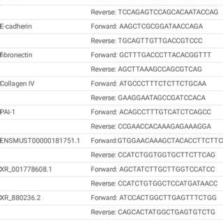 Primer sequences for quantitative real-time polymerase chain reaction ...
