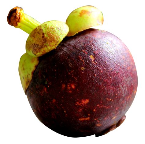 Purple Mangosteen PNG Image - PurePNG | Free transparent CC0 PNG Image ...