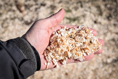 Опилки в огороде: как использовать опилки на грядках