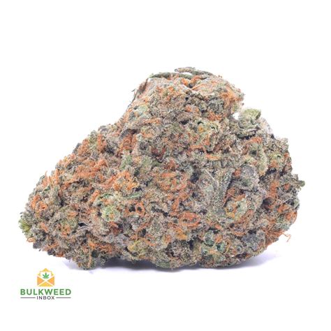 Alaskan Thunder Fuck Aaa Cheap Weed Bulkweedinbox